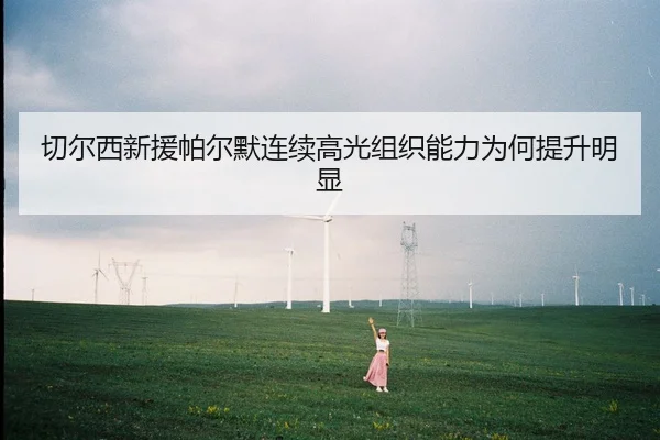 切尔西新援帕尔默连续高光组织能力为何提升明显